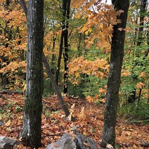 Meet your Posher, Laurence